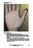 Learn Palm reading illustration 2